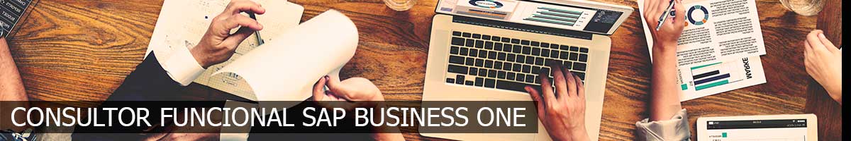 Experto Consultor Funcional Sap Business One | Fp++